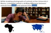 While studying photographs of animals at her University’s library, a zoologist notices a striking difference between animals from Africa and animals from.