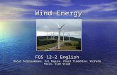 Wind Energy FOS 12-2 English Raoul Tedjasukmana, Kai Raguse, Pavel Timokhine, Wilhelm Stein, Sven Staab.