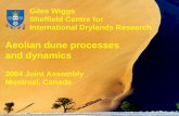 Giles Wiggs Sheffield Centre for International Drylands Research Aeolian dune processes and dynamics 2004 Joint Assembly Montreal, Canada.