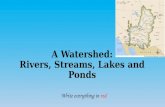 A Watershed: Rivers, Streams, Lakes and Ponds Write everything in red.