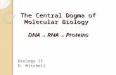 The Central Dogma of Molecular Biology DNA → RNA → Proteins Biology II D. Mitchell.