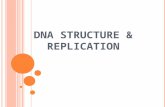 DNA S TRUCTURE & R EPLICATION W HAT IS DNA ? Organic molecule Nucleic acid.