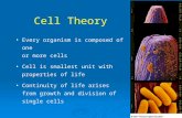 Cell Theory Every organism is composed of one or more cells Cell is smallest unit with properties of life Continuity of life arises from growth and division.
