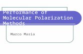 Performance of Molecular Polarization Methods Marco Masia.