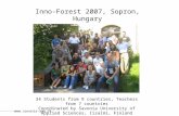 Www.savonia-amk.fi Inno-Forest 2007, Sopron, Hungary 34 Students from 9 countries, Teachers from 7 countries Coordinated by Savonia University of Applied.