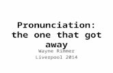 Pronunciation: the one that got away Wayne Rimmer Liverpool 2014.