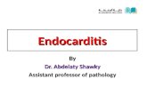 Endocarditis By Dr. Abdelaty Shawky Assistant professor of pathology.