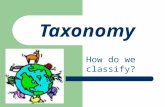Taxonomy How do we classify?. Why Classify? Study unity & diversity in an organized manner Understand relationships between organisms.