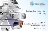Introduction to caArray caBIG ® Molecular Analysis Tools Knowledge Center April 3, 2011.