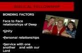 BIBLICAL FELLOWSHIP BONDING FACTORS Face to Face relationships of Deep Unity Personal relationships Service with one another and with our Lord.
