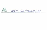 GENES and TOBACCO USE. CAN GENES PREDICT WHO WILL… develop heart disease? develop lung cancer? become a smoker? be able to quit?