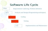Software Life Cycle Use Requirements Gathering, Problem definition Analysis and Design (Programming techniques) Coding Testing Implementation and Maintenance.
