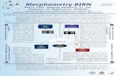 Morphometry BIRN Lobar analysis and atlas registration to subjects Parallel computing and statistical analysis Anatomical Segmentation Retrospective Data.