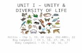 UNIT I – UNITY & DIVERSITY OF LIFE Hillis – Chp 1, 19, 20 (pgs. 392-406), 22 Big Campbell ~ Ch 1, 18, 27, 28, 31 Baby Campbell ~ Ch 1, 10, 16, 17.