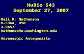 HuBio 543 September 27, 2007 Neil M. Nathanson K-536A, HSB 3-9457 nathanso@u.washington.edu Adrenergic Antagonists.