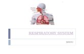 RESPIRATORY SYSTEM SBI3U. RESPIRATION:  Organisms obtain oxygen which is necessary for the release of energy from food (i.e. breathing) Cellular Respiration: