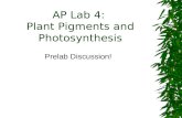 AP Lab 4: Plant Pigments and Photosynthesis Prelab Discussion!