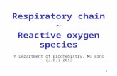 1 Respiratory chain ~ Reactive oxygen species © Department of Biochemistry, MU Brno (J.D.) 2013.
