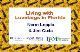 Living with Lovebugs in Florida Norm Leppla & Jim Cuda.