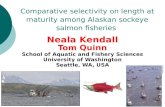 Comparative selectivity on length at maturity among Alaskan sockeye salmon fisheries Neala Kendall Tom Quinn School of Aquatic and Fishery Sciences University.
