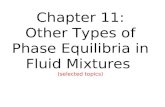 Chapter 11: Other Types of Phase Equilibria in Fluid Mixtures (selected topics)