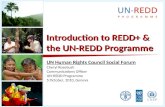 Introduction to REDD+ & the UN-REDD Programme UN Human Rights Council Social Forum Cheryl Rosebush Communications Officer UN-REDD Programme 5 October,