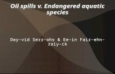 Oil spills v. Endangered aquatic species Day-vid Serr-ohs & Ee-in Fair-ehn-raiy-ck.