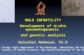 MALE INFERTILITY Development of in vitro spermatogenesis and genetic analysis Huleihel Mahmoud, Ph.D The Shraga Segal Department of Microbiology, Immunology.