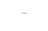 Cystitis 1. Cystitis describes a clinical syndrome of dysuria, frequency, urgency, and occasionally suprapubic pain 2