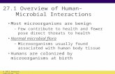 27.1 Overview of Human–Microbial Interactions Most microorganisms are benign –Few contribute to health and fewer pose direct threats to health Normal microbial.
