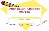 Amphibian Chapter Review Good Luck!. What is the term we use for eardrum? Tympanic membrane.