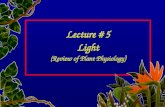 Lecture # 5 Light (Review of Plant Physiology ). Light is electromagnetic radiation, emitted when an electrical dipole (a paired positive and negative.