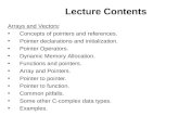 Lecture Contents Arrays and Vectors: Concepts of pointers and references. Pointer declarations and initialization. Pointer Operators. Dynamic Memory Allocation.