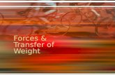 Forces & Transfer of Weight. Force Newtons 3 rd Law -For every action there is an equal but opposite reaction When force is applied in one direction then.