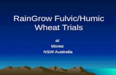 RainGrow Fulvic/Humic Wheat Trials atMoree NSW Australia.