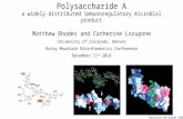 Polysaccharide A a widely distributed immunoregulatory microbial product Matthew Rhodes and Catherine Lozupone University of Colorado, Denver Rocky Mountain.