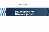 Chapter 13 Principles of Bioenergetics. Metabolism - Coordinated cellular activity - Sum of all the chemical transformations in organism Chemical energy.