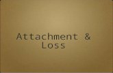 Attachment & Loss. 4 Attachment Theory ✤D✤Definition of Attachment: ✤A✤An enduring emotional tie to a special person, characterized by a tendency.