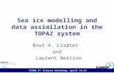 IICWG 5 th Science Workshop, April 19-21 - 2004 Sea ice modelling and data assimilation in the TOPAZ system Knut A. Lisæter and Laurent Bertino.