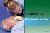 Chapter 11 BLS Resuscitation. National EMS Education Standard Competencies Shock and Resuscitation Applies a fundamental knowledge of the causes, pathophysiology,