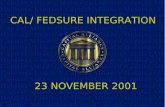 CAL/ FEDSURE INTEGRATION 23 NOVEMBER 2001. Presentation Outline Philosophy Martijn Appelo Products and Valuation Martijn Appelo Integration Progress Hennie.