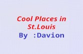 Cool Places in St.Louis By :Davion. Steinberg's Skating Park Steinberg Skating Park is an ice skating park. It is very fun. They have an arcade in the.