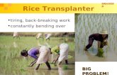 ORANGE B Rice Transplanter tiring, back-breaking work constantly bending over BIG PROBLEM!