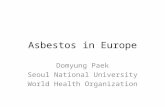 Asbestos in Europe Domyung Paek Seoul National University World Health Organization.