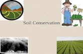 Soil Conservation. "A nation that destroys its soil destroys itself." - President Franklin D. Roosevelt, 1937 Why is soil conservation important?