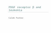 PDGF receptor β and leukemia Caleb Parker. Overview  What is PDGFRB?  What role does PDGFRB play in the cell?  What is CMML?  What is Tel/PDGFRB?