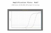 Amplification Plots: Rab7 SYBR Green, 03-04-2009, 441 project 1st run.mxp.