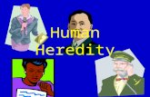 Human Heredity. Parents give genes _______ reproductive cells -sperm & egg 23 chromosomes.