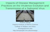 Andrew Wargo Virginia Institute of Marine Science College of William and Mary arwargo@vims.edu  Impacts of Disease Management.