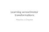 Learning sensorimotor transformations Maurice J. Chacron.